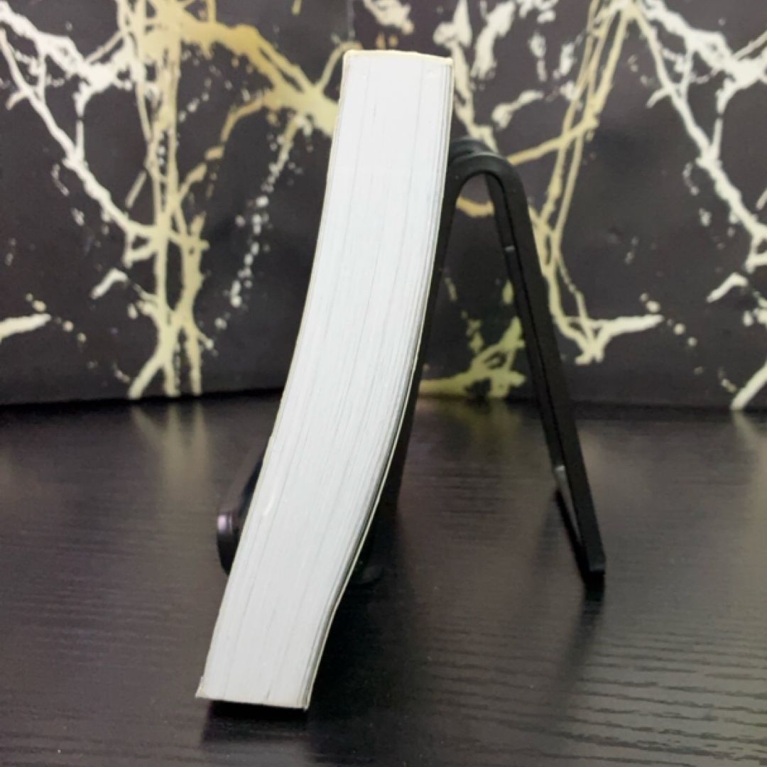The Lost Heir exact copy — photo 6
