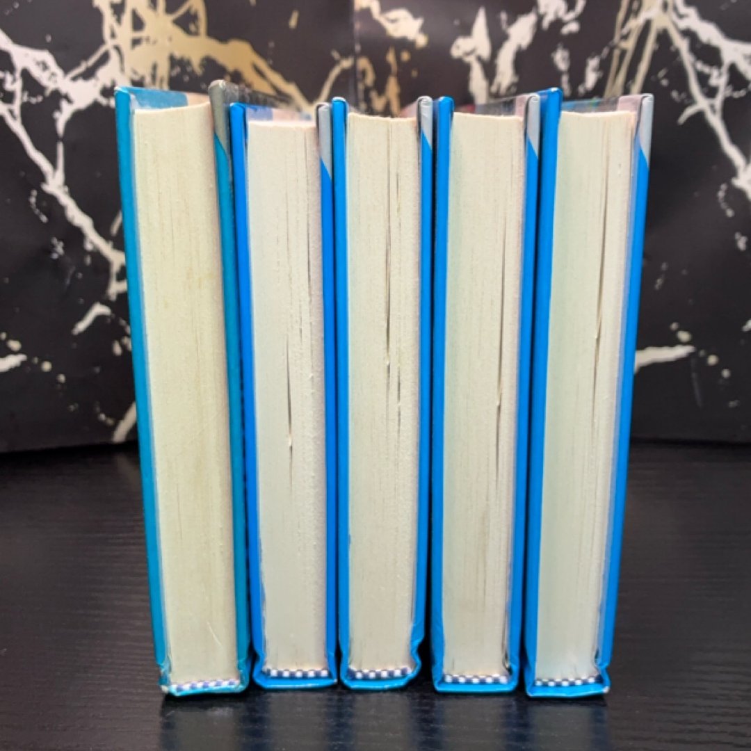 The Hardy Boys Starter Set exact copy — photo 4