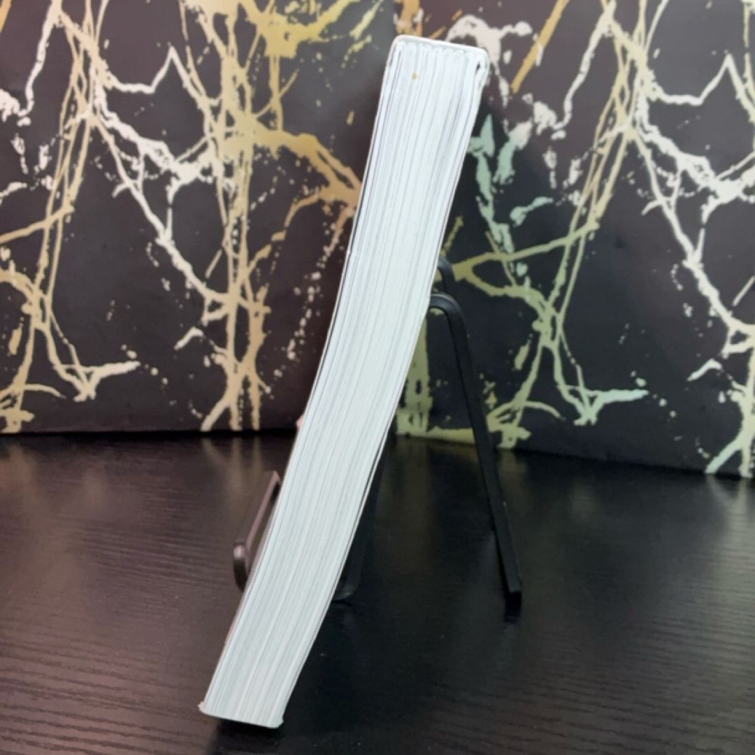 The Four Pillar Plan exact copy — photo 6