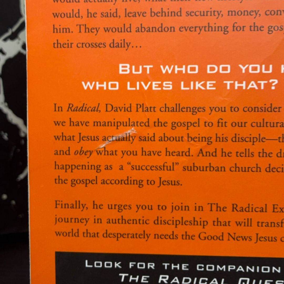 Radical exact copy — photo 4